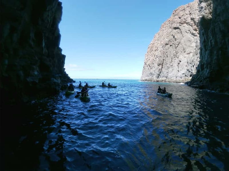 Tenerife: Kayak & Snorkel with Local Fauna, Photos Included - Safety Briefing and Double-Kayak Setup (Yes, It’s a Real Thing)