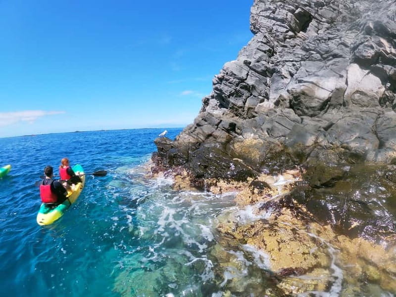 Tenerife: Kayak & Snorkel with Local Fauna, Photos Included - The 1.5-Hour Paddle: Blue Water, Black Cliffs, and Dolphin Possibilities