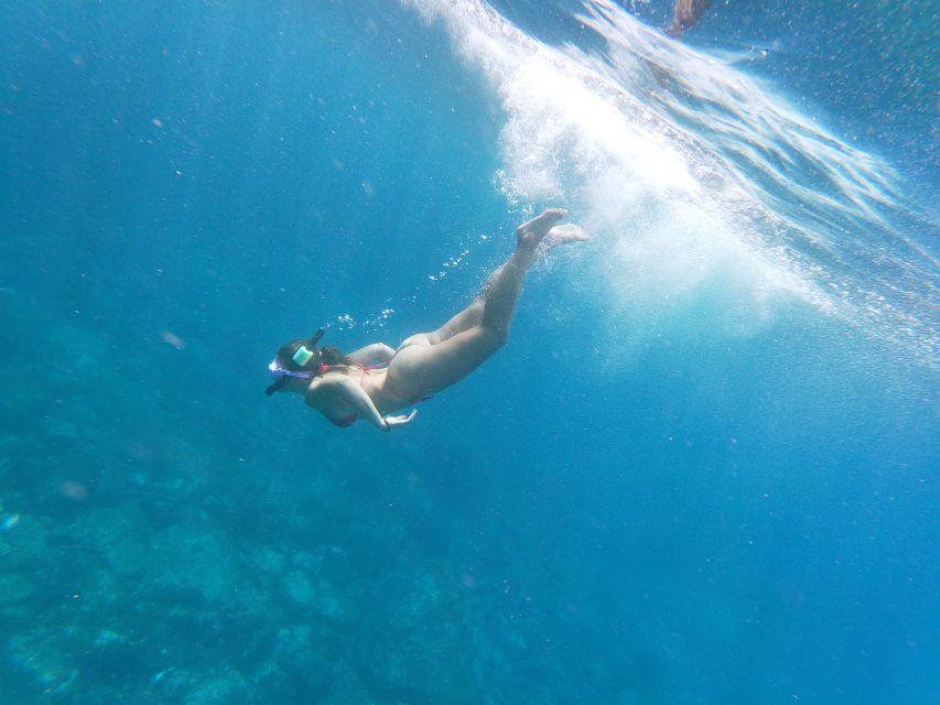 Tenerife: Kayak & Snorkel with Local Fauna, Photos Included - Photos and Videos: Free Souvenirs That Actually Matter