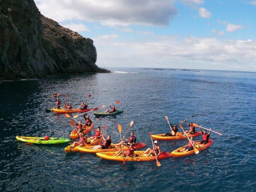 Tenerife: Kayak & Snorkeling, Marine Fauna Watching - Secret stop three: snorkeling time and getting comfortable underwater