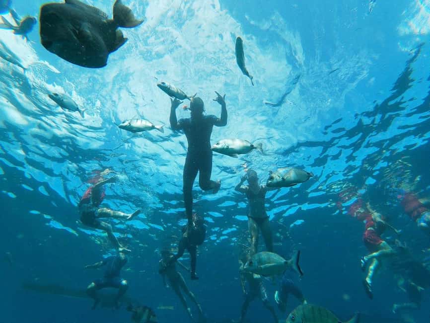 Tenerife: Kayak & Snorkeling, Marine Fauna Watching - First paddle to the viewpoint: getting your bearings fast