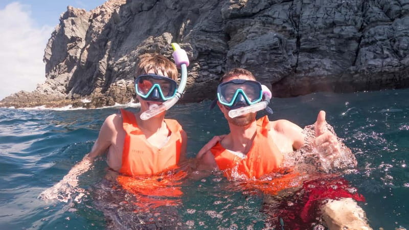 Tenerife: Kayak & Snorkeling Tour - Small Groups - Dolphins and Turtles Spotting: The Best Half Hour of Wildlife Viewing