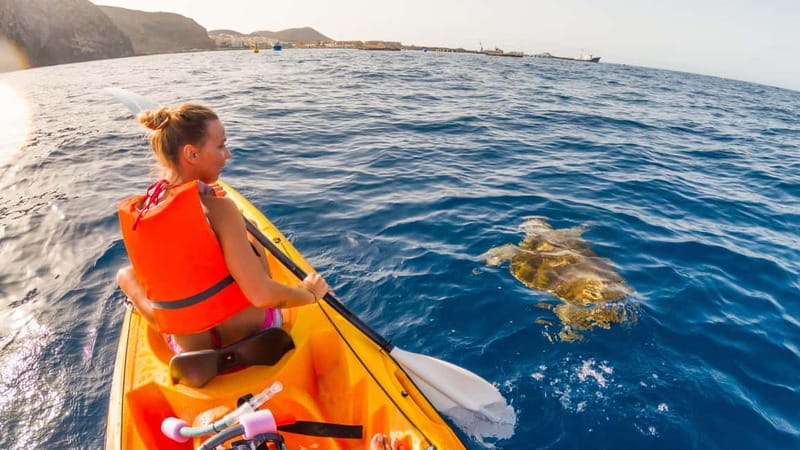 Tenerife: Kayak & Snorkeling Tour - Small Groups - Snorkeling Break: 30 Minutes of Marine Life and Volcanic Rock Formations