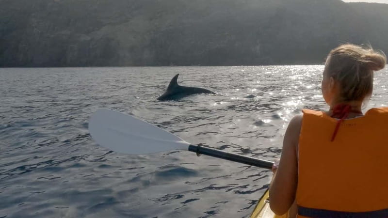 Tenerife: Kayak & Snorkeling Tour - Small Groups - Gear, Photos, and Packing Tips That Save Your Time