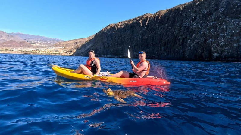 Tenerife: Kayak & Snorkeling Tour - Small Groups - Safety Briefing and the 5-Minute Walk to the Shore