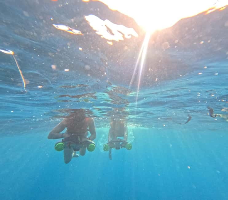 Tenerife: Kayak Tour with Animals and Underwater Scooters - Price and value: why around $33 can feel like a bargain