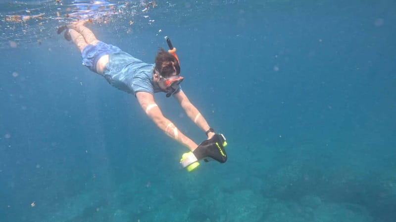 Tenerife: Kayak Tour with Animals and Underwater Scooters - From lockers to the beach: how you start at Los Cristianos