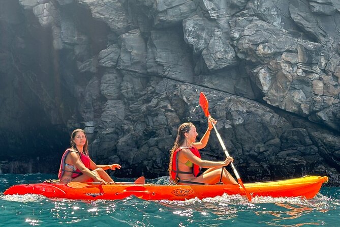 Tenerife Kayak Tour with Marine Wildlife Spotting and Snorkeling - Snorkeling: included gear, real conditions, and what you might see