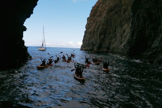 Tenerife Kayak Tour with Marine Wildlife Spotting and Snorkeling - Price and value: is $42.05 worth it in Tenerife?