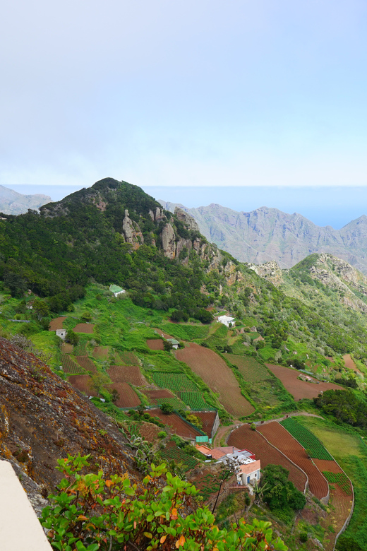 Tenerife: La Laguna & Anaga hike - Las Mercedes Hike: Why the Laurel Forest Feels Different