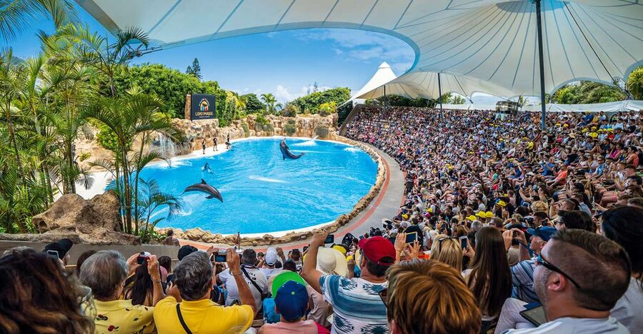 Tenerife: Loro Parque Entry Ticket - First Look: What Loro Parque Feels Like on Arrival