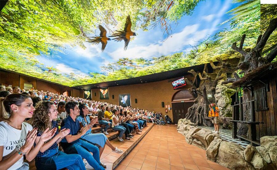 Tenerife: Loro Parque Entry Ticket - Beyond the Stadium: Penguins, Gorillas, and Aquarium Tunnels