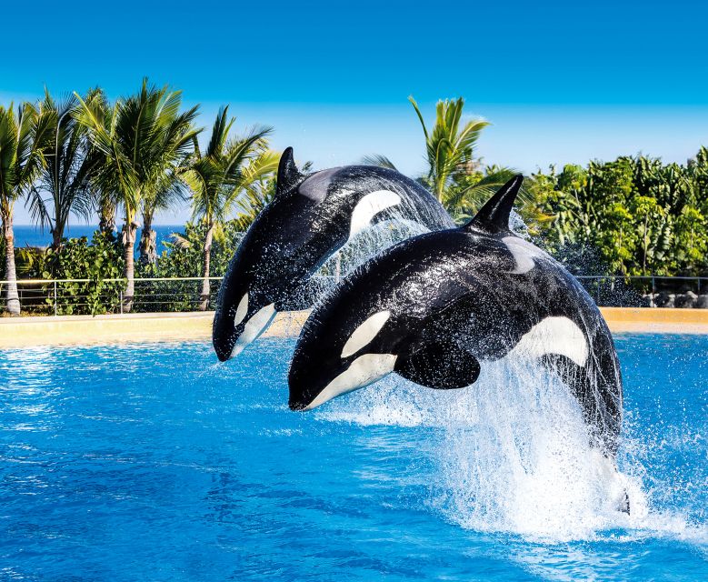 Tenerife: Loro Parque Entry Ticket - Parrots, Treetops, and the Bird Kingdom Experience