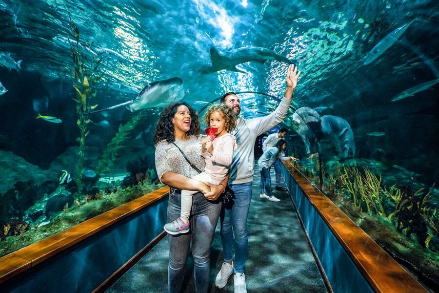 Tenerife: Loro Parque Entry Ticket - Kinderlandia for Kids and the Orca Roller Coaster for Everyone