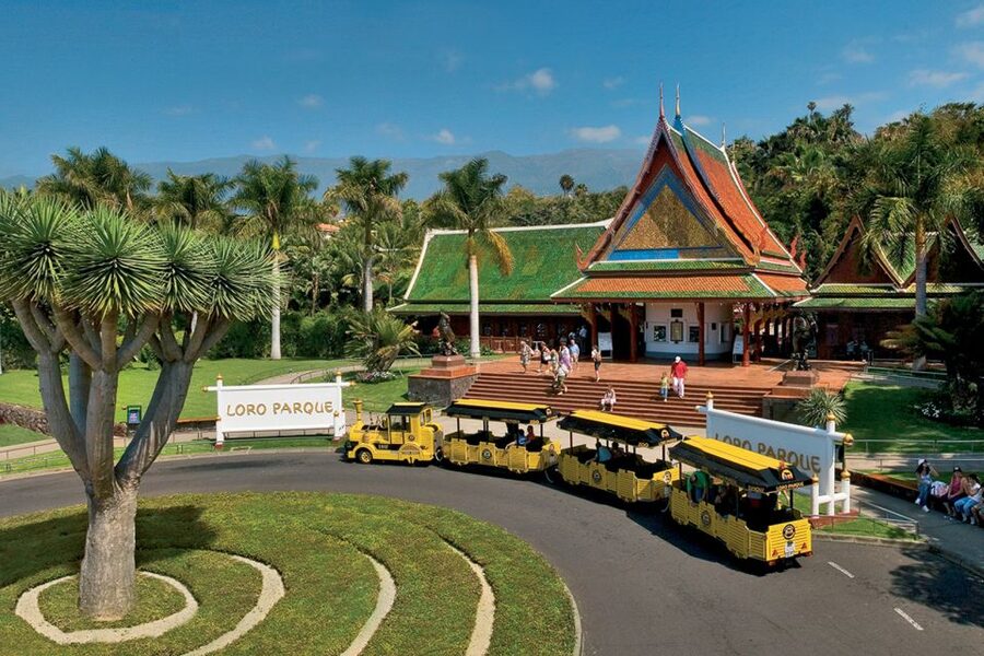 Tenerife: Loro Parque & Siam Park Entry Ticket with Transfer - Fingerprints, Wristbands, and QR Codes: The One Process Step People Forget
