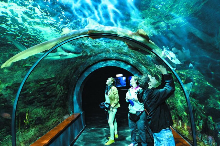 Tenerife: Loro Parque & Siam Park Entry Ticket with Transfer - FAQ