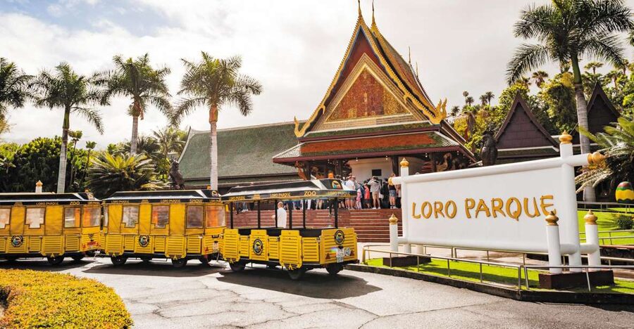 Tenerife: Loro Parque & Siam Park Entry Ticket with Transfer - The South Tenerife Coach Ride: What “Included Transfer” Really Means