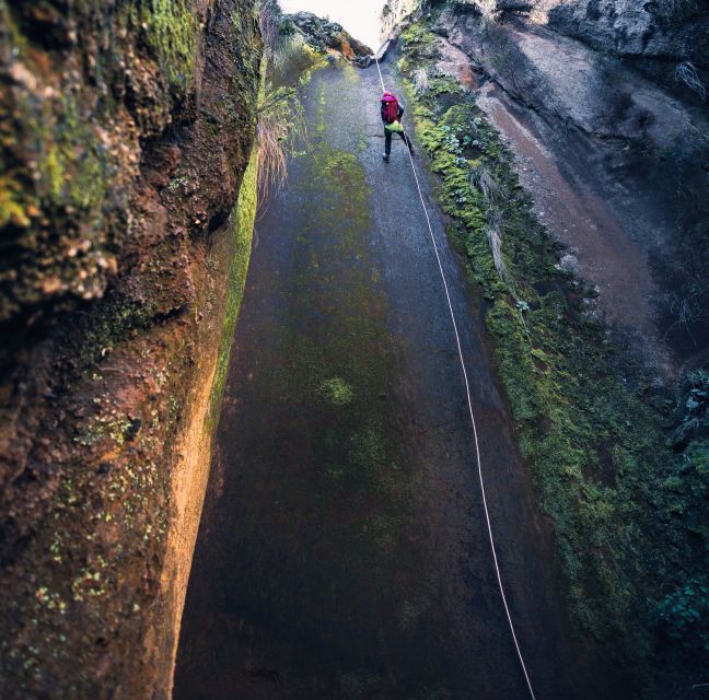 Tenerife: Los Arcos Canyoning Tour with Guide - Photos, Insurance, and the Little Extras That Make It Feel Worth It