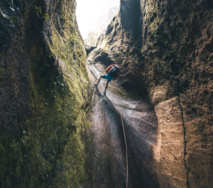 Tenerife: Los Arcos Canyoning Tour with Guide - Should You Book Los Arcos Canyoning Tour in Tenerife?
