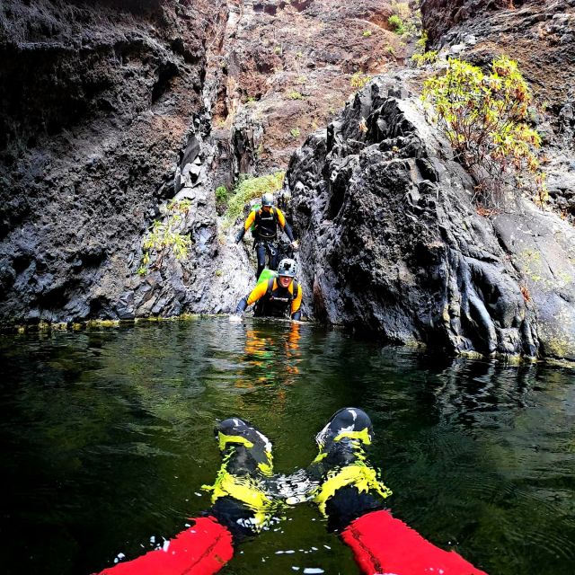 Tenerife: Los Carrizales Water Canyoning Tour - Safety Briefing That Actually Prepares You