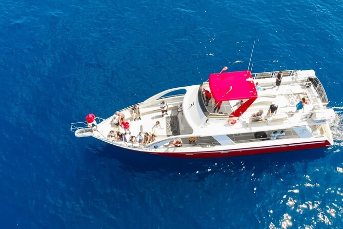Tenerife Los Cristianos: Whale and Dolphin Eco-Yacht and Swim Stop - Blue Boat certified safety: what it means for your trip at sea