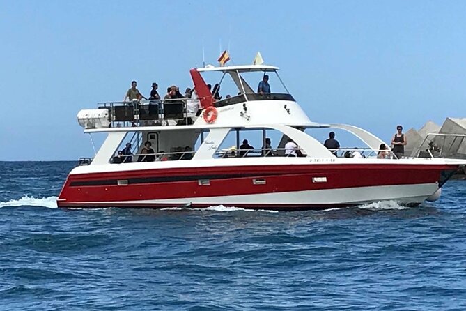 Tenerife Los Cristianos: Whale and Dolphin Eco-Yacht and Swim Stop - Included perks that make a real difference onboard