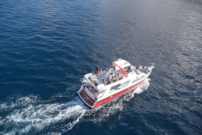 Tenerife Los Cristianos: Whale and Dolphin Eco-Yacht and Swim Stop - Who this Los Cristianos whale and dolphin tour suits best