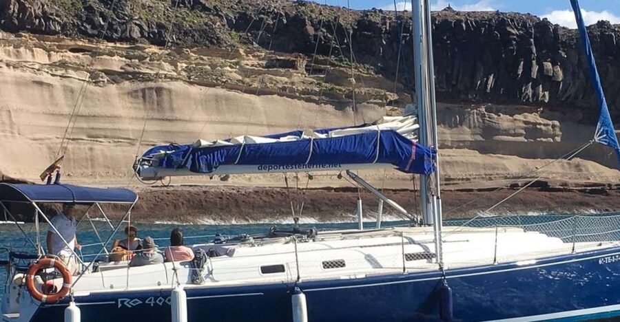 Tenerife: Luxury Private Whale & Dolphin Watching Tour - Key highlights worth your attention