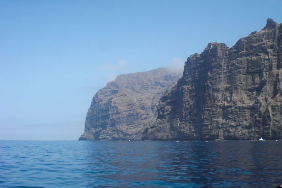 Tenerife: Luxury Private Whale & Dolphin Watching Tour - Luxury on the water: what makes this Tenerife cruise feel special