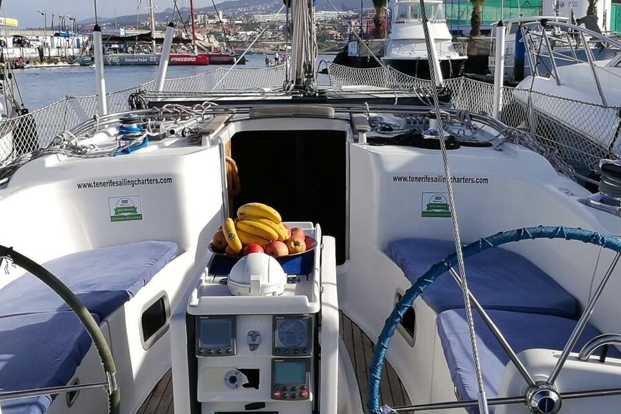 Tenerife: Luxury Private Whale & Dolphin Watching Tour - Wildlife spotting on Tenerife: pilot whales, dolphins, and turtles