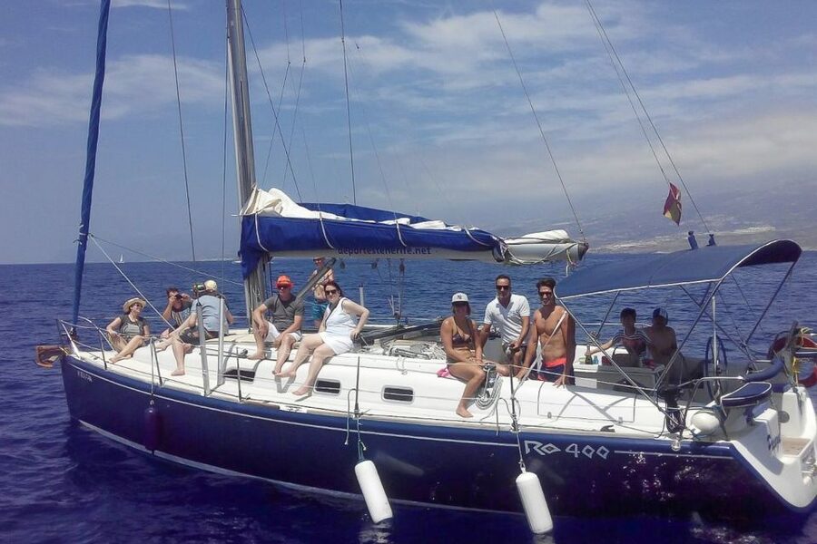 Tenerife: Luxury Private Whale & Dolphin Watching Tour - Practical tips so your day stays smooth