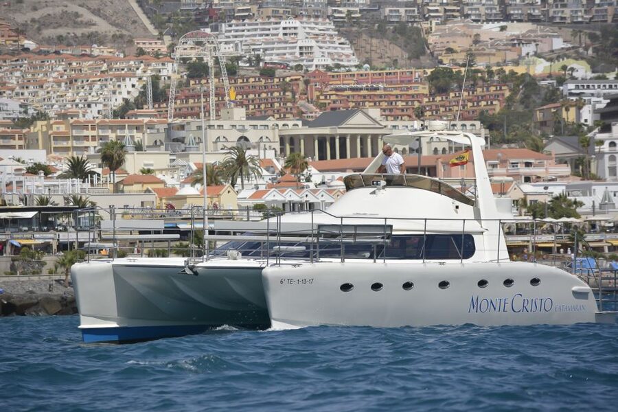 Tenerife: Marine-Life Tour with Transfer, Buffet and Drinks - Getting to Puerto Colón: quick start, low stress