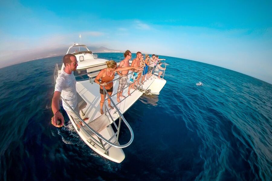 Tenerife: Marine-Life Tour with Transfer, Buffet and Drinks - Getting the most from the crew experience