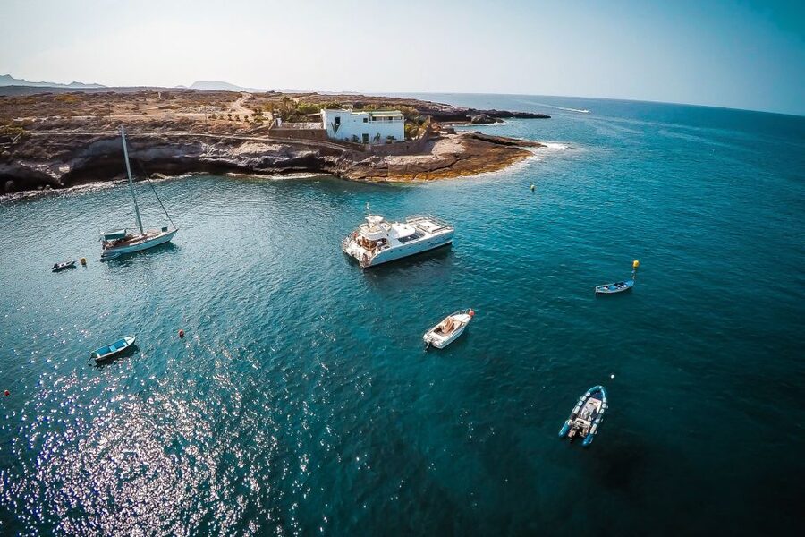 Tenerife: Marine-Life Tour with Transfer, Buffet and Drinks - Should you book the Monte Cristo whale and dolphin tour?
