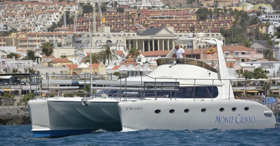 Tenerife: Marine-Life Tour with Transfer, Buffet and Drinks - Whale and dolphin watching off Tenerife’s south coast