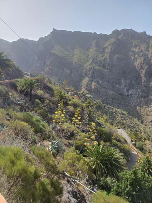 Tenerife: Masca, Los Gigantes & Natural Pools + Picnic - Price and value: why $83 can make sense for this exact combination