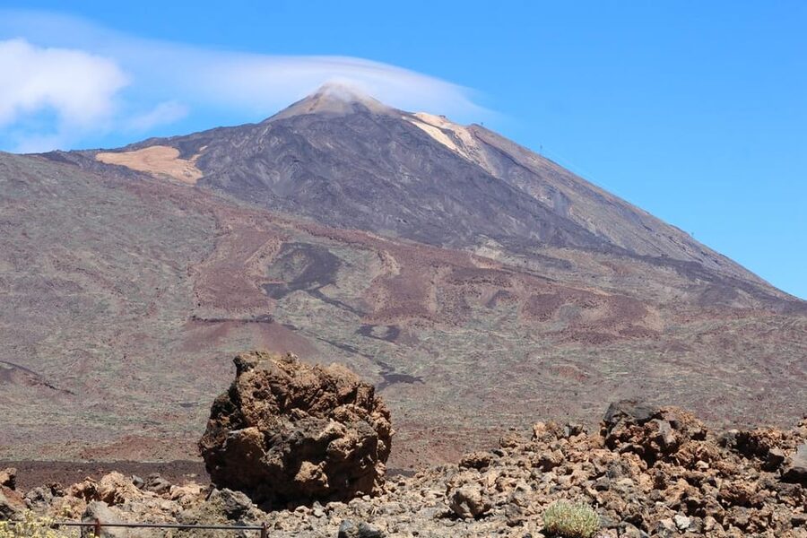 Tenerife: Morning or Sunset Teide Buggy Tour - The Flora and Wildlife Stops That Make It Feel Alive