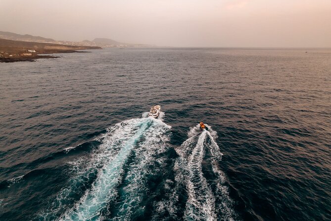 Tenerife Motor Boat Whale Watching & Snorkeling Experience - Playa del Puertito swim and snorkeling: the 30-minute break that keeps things fun