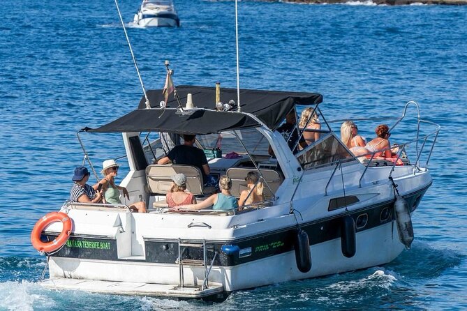 Tenerife Motor Boat Whale Watching & Snorkeling Experience - Timing, weather, and how to plan your day in Tenerife