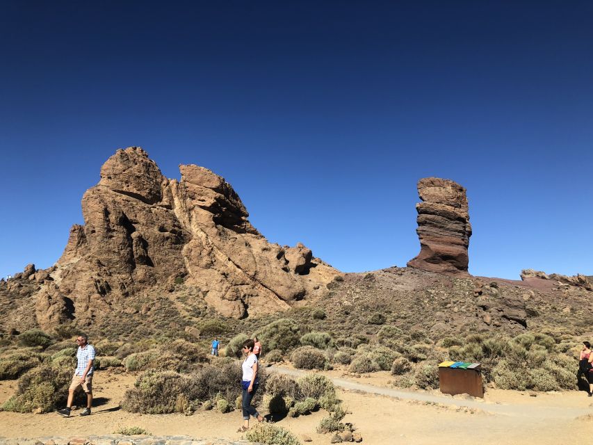 Tenerife: Mount Teide, Masca, Icod and Garachico Day Trip - Who is this day trip for, and who should skip it
