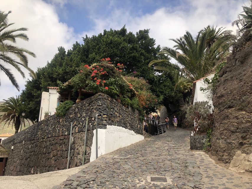 Tenerife: Mount Teide, Masca, Icod and Garachico Day Trip - Price check: does $65 feel fair for this route?