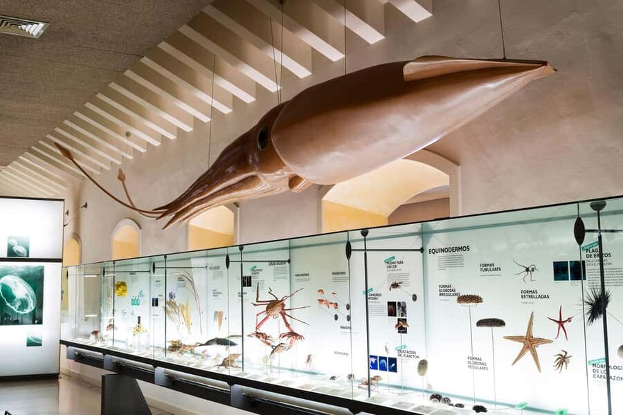 Tenerife: MUNA Museum Admission Ticket and Teide Legend Tour - Key takeaways
