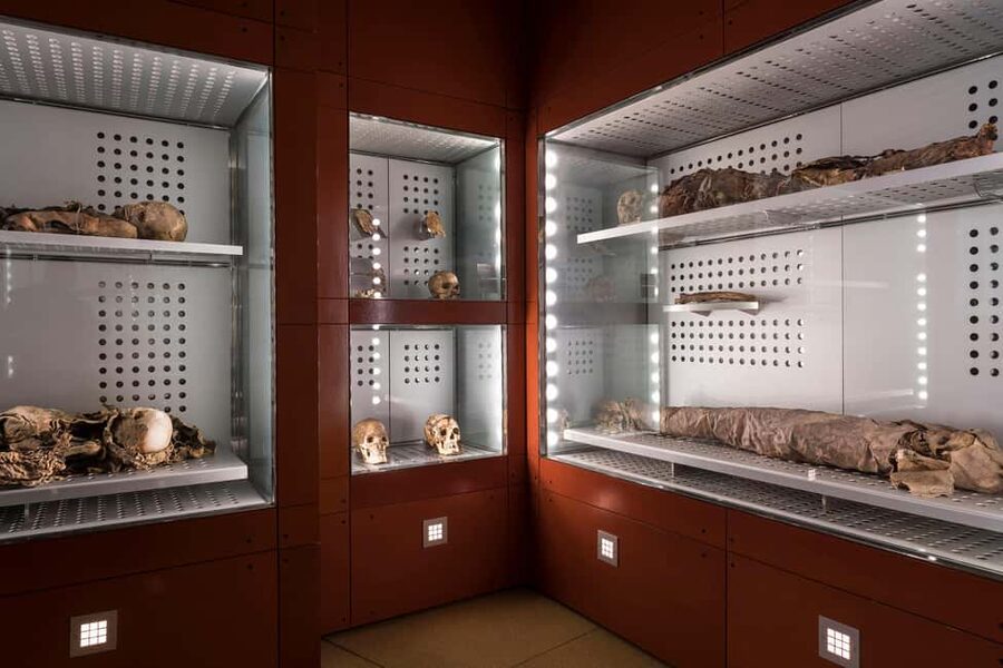 Tenerife: MUNA Museum Admission Ticket and Teide Legend Tour - Teide Cable Car Visitors’ Centre: Science and Legend, plus a mummy reproduction
