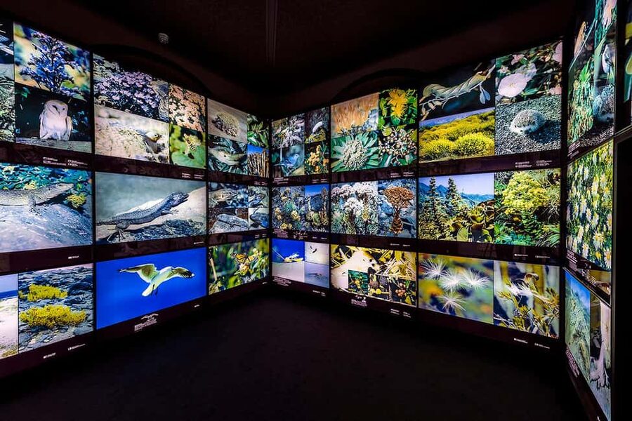 Tenerife: MUNA Museum Admission Ticket and Teide Legend Tour - What’s included (and why it’s good value at about $9)