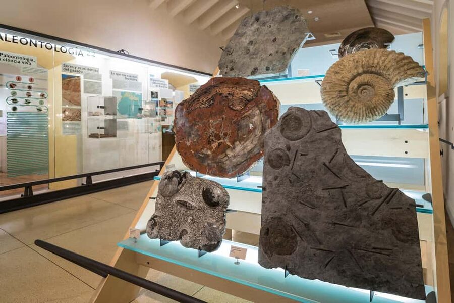 Tenerife: MUNA Museum Admission Ticket and Teide Legend Tour - Timing, meeting point, and the smartphone/app requirement