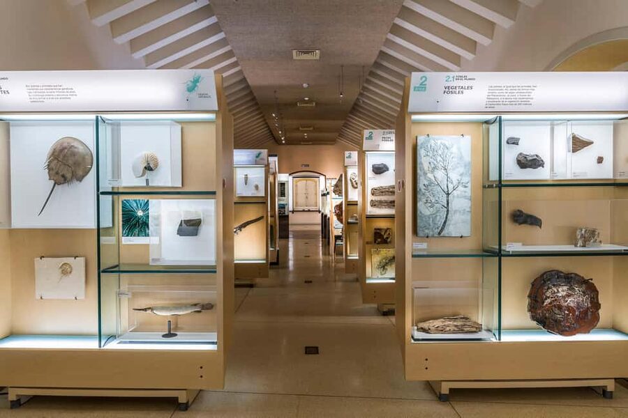 Tenerife: MUNA Museum Admission Ticket and Teide Legend Tour - Rules that matter: what you can’t bring and how to avoid headaches