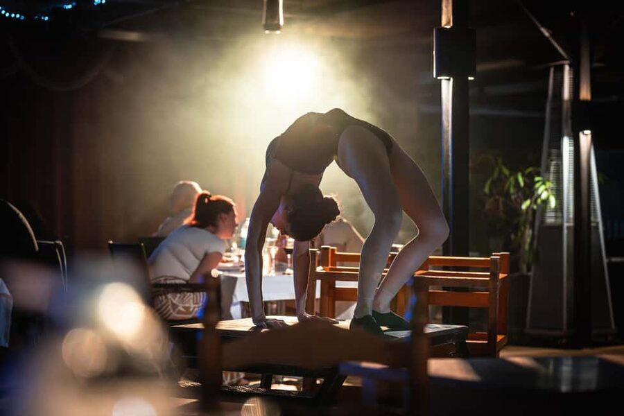 Tenerife : Musical show "the wild south" with dinner and transfer - Acrobats, Dancing, and Audience Participation (Yes, You’re in It)