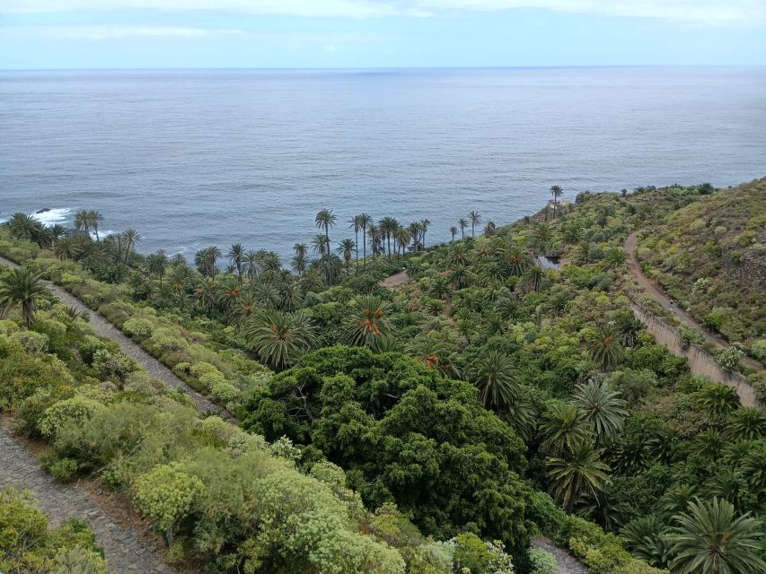 Tenerife: North Coast Landscapes Private Day Tour - Key highlights worth marking