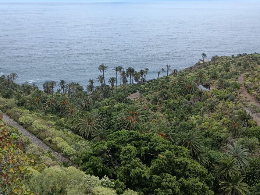 Tenerife: North Coast Landscapes Private Day Tour - Socorro Beach in Los Realejos: volcanic sand and open views
