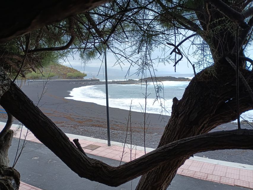 Tenerife: North Coast Landscapes Private Day Tour - Price and value: what $115 buys in real life